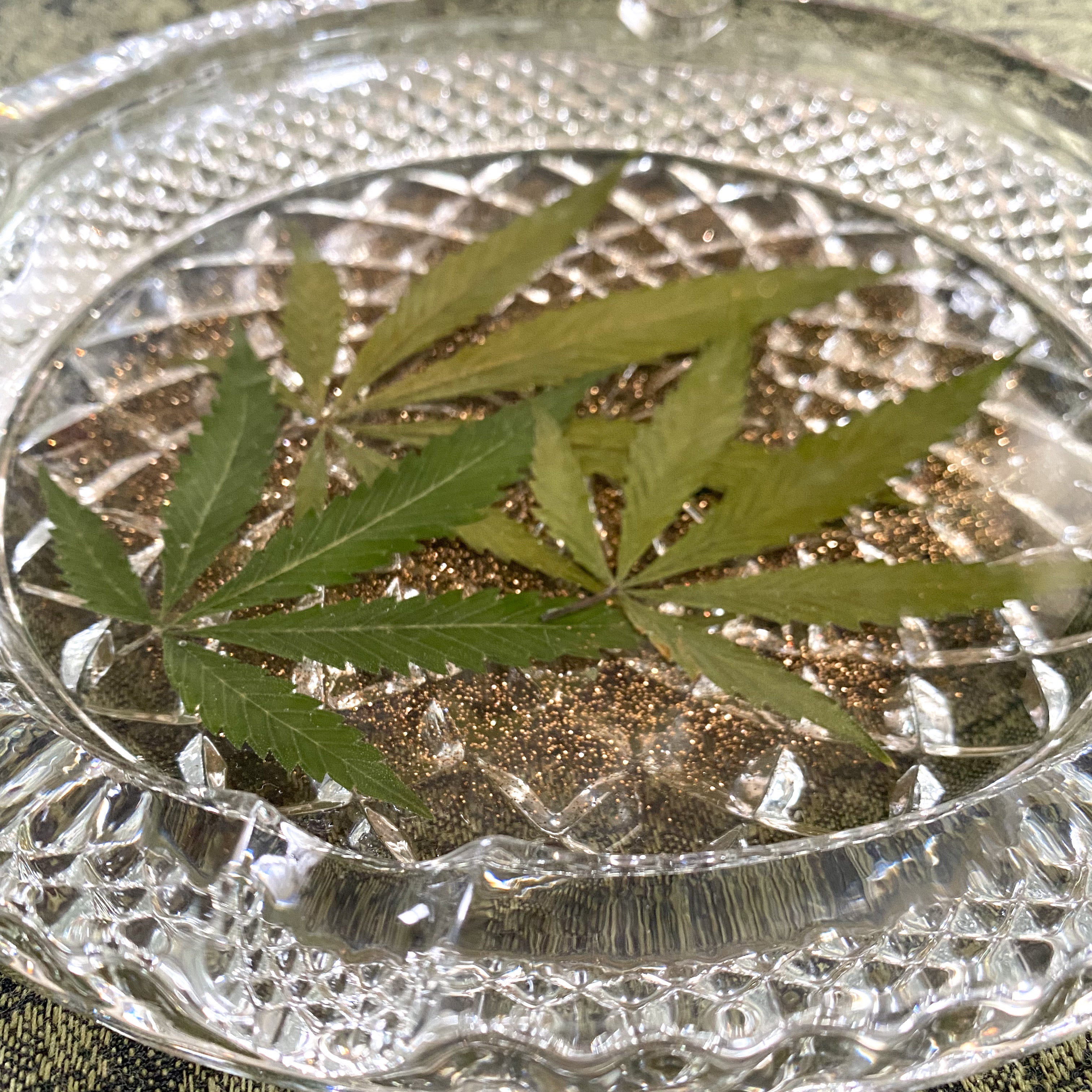 Glitter Green and selling White Pot Leaf Ashtray