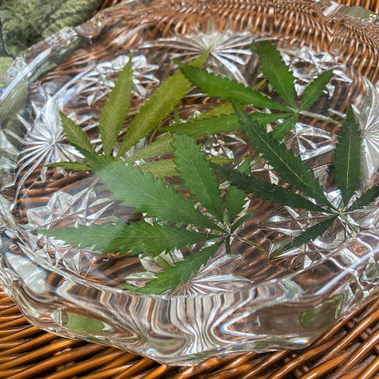 Hemp Leaf Ashtray