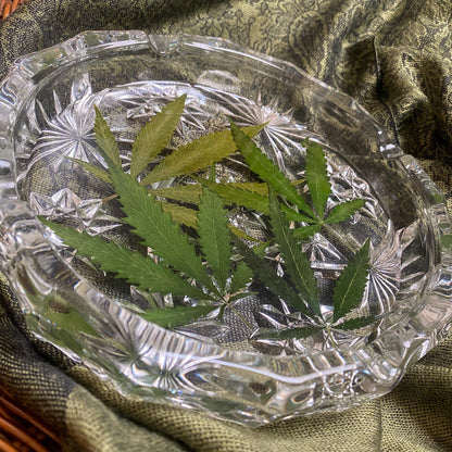 Hemp Leaf Ashtray